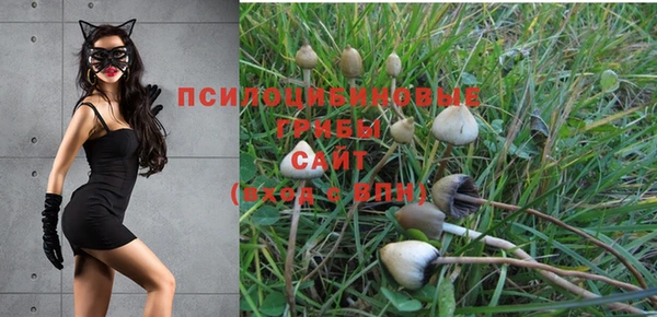 марки nbome Алзамай