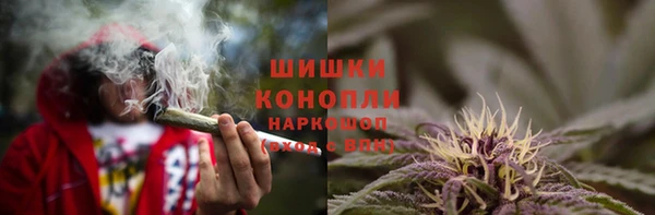 каннабис Алексеевка