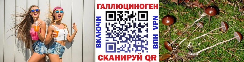 Псилоцибиновые грибы Cubensis  Дмитров 