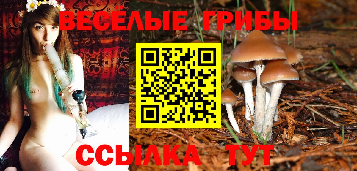Дмитров  как найти   Вход с VPN  Псилоцибиновые грибы прущие грибы 