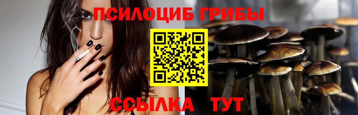 Псилоцибиновые грибы Magic Shrooms Дмитров
